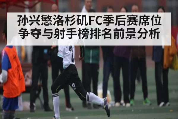 孙兴慜洛杉矶FC季后赛席位争夺与射手榜排名前景分析（ng28）